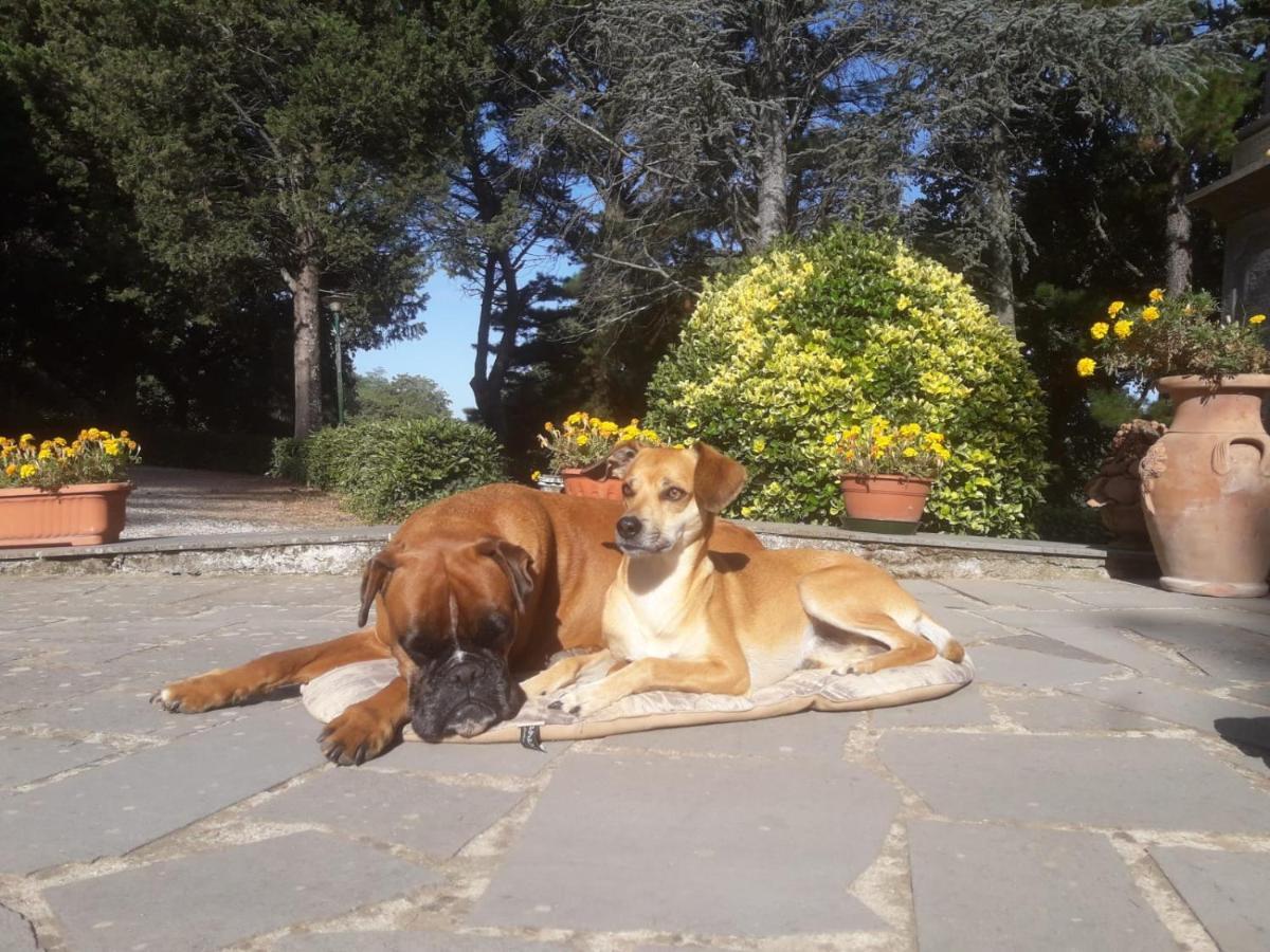 Casal Ponziani Per Civita E Dintorni Villa Bagnoregio Exteriör bild